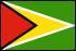 Flag of Guyana                                            
