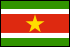 Flag of Suriname                                          