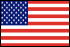 Flag of United States of America                          